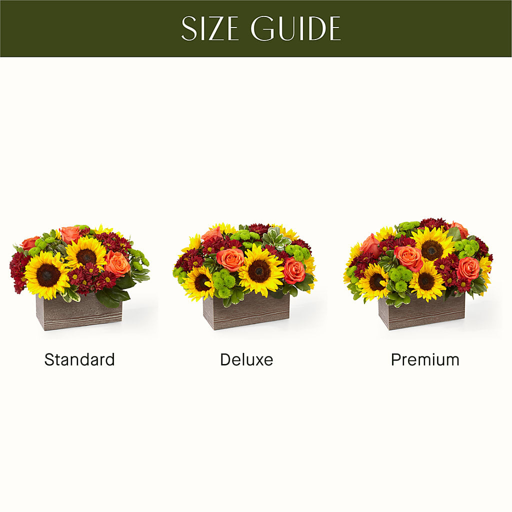 Happy Harvest Garden –  Jy Floristeria, Trenton NJ
