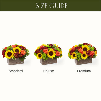 Happy Harvest Garden –  Jy Floristeria, Trenton NJ