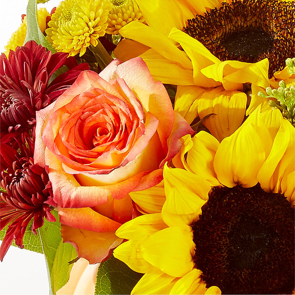 Golden Gourd Pumpkin Bouquet –  Jy Floristeria, Trenton NJ