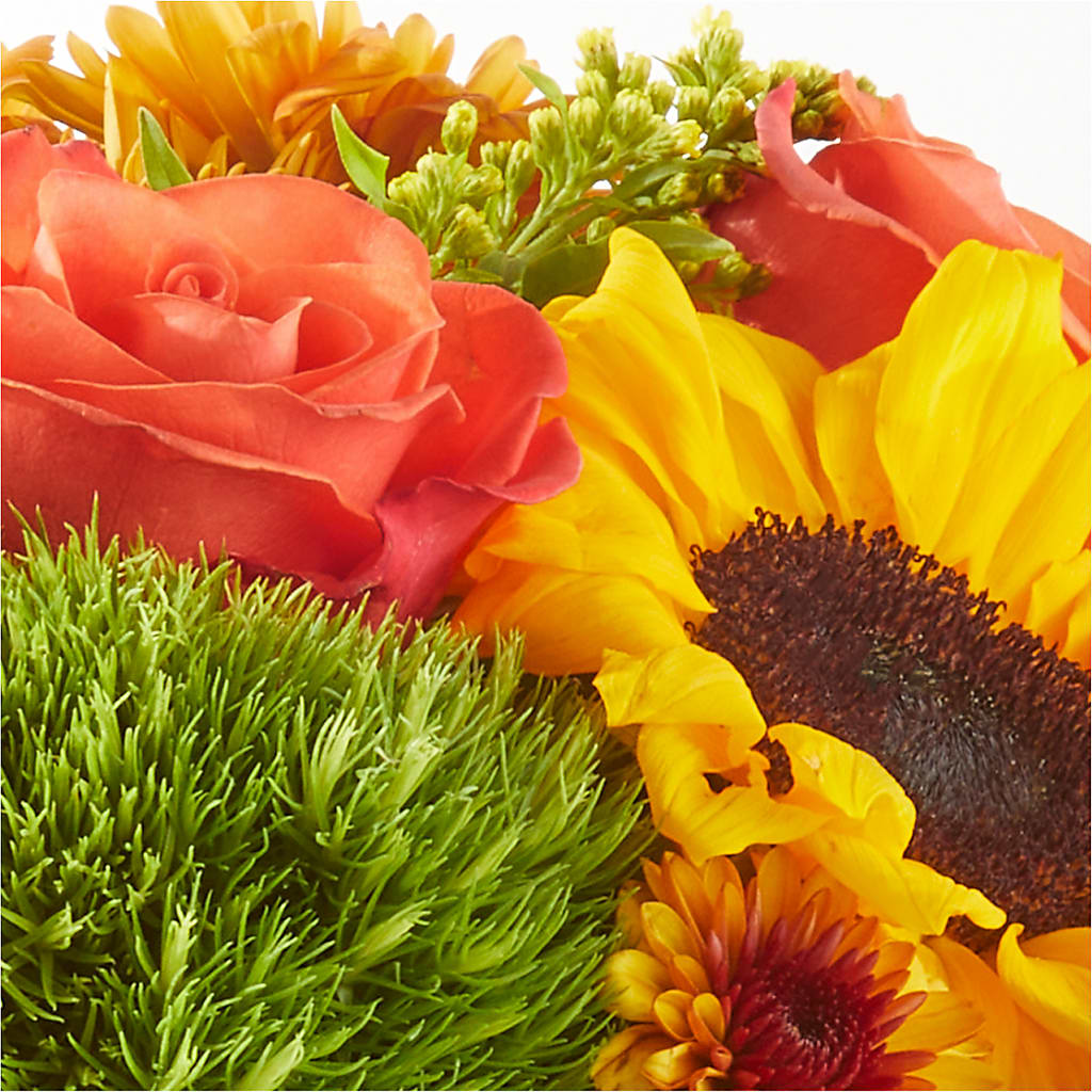 Farmer’s Market Stroll Bouquet –  Jy Floristeria, Trenton NJ