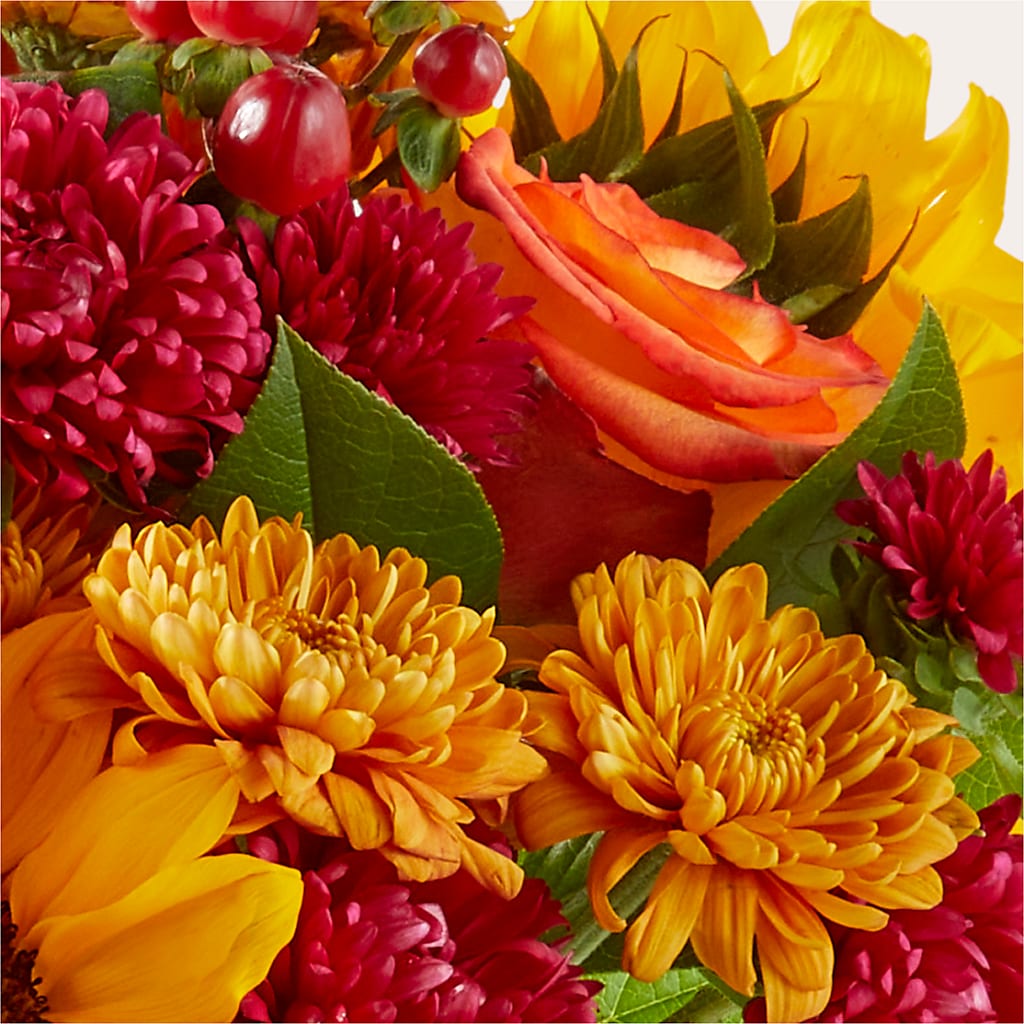 Sweater Season - A Florist Original –  Jy Floristeria, Trenton NJ