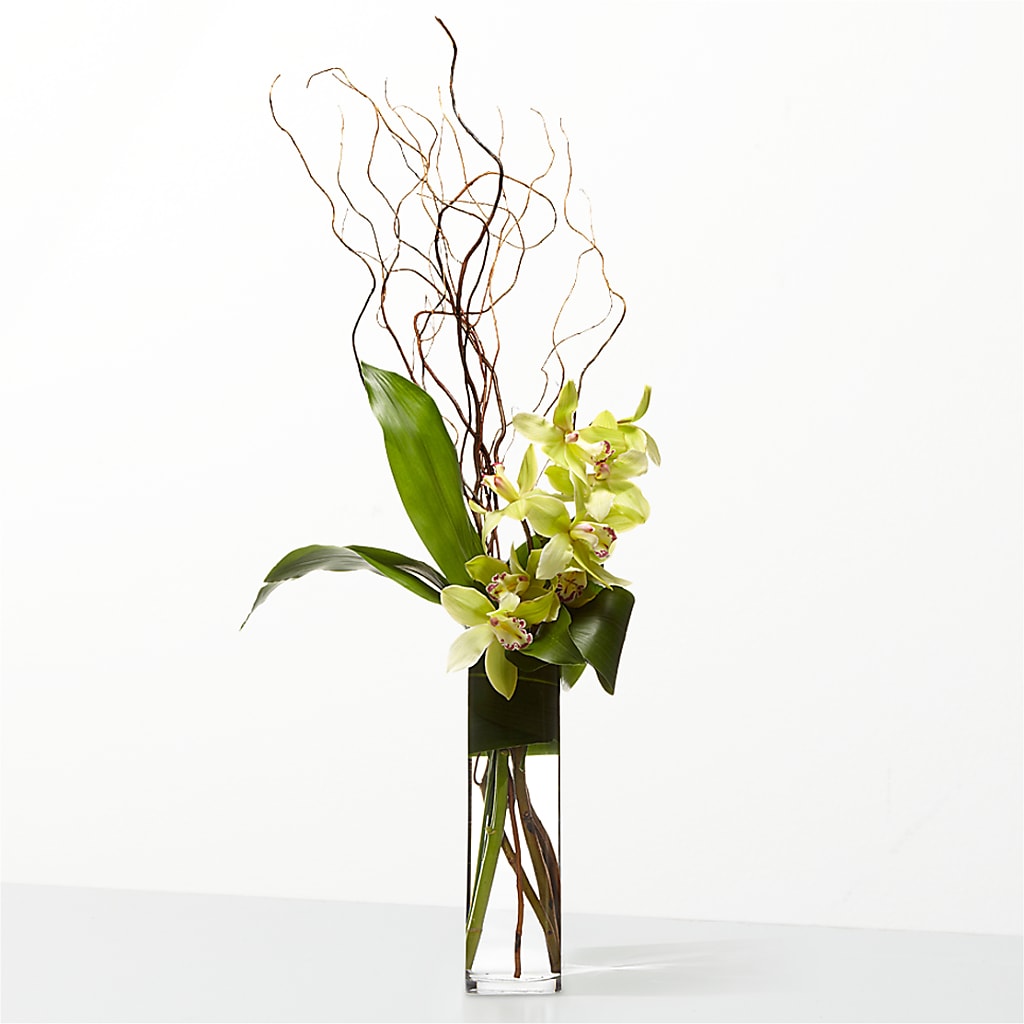 The Statement –  Jy Floristeria, Trenton NJ