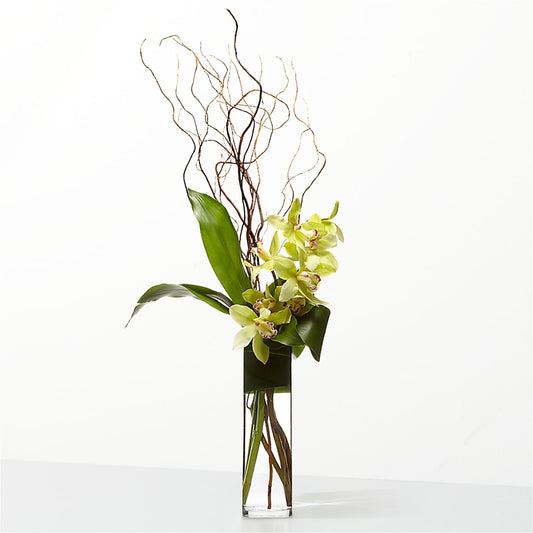 The Statement –  Jy Floristeria, Trenton NJ