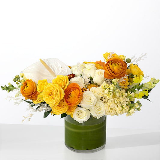 The Optimist –  Jy Floristeria, Trenton NJ