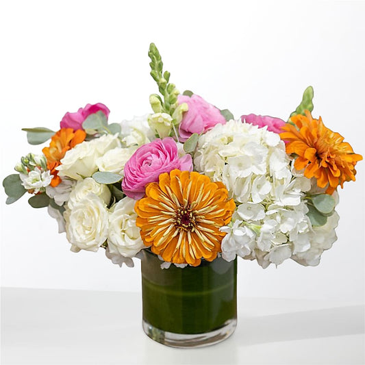 The Meet Cute –  Jy Floristeria, Trenton NJ