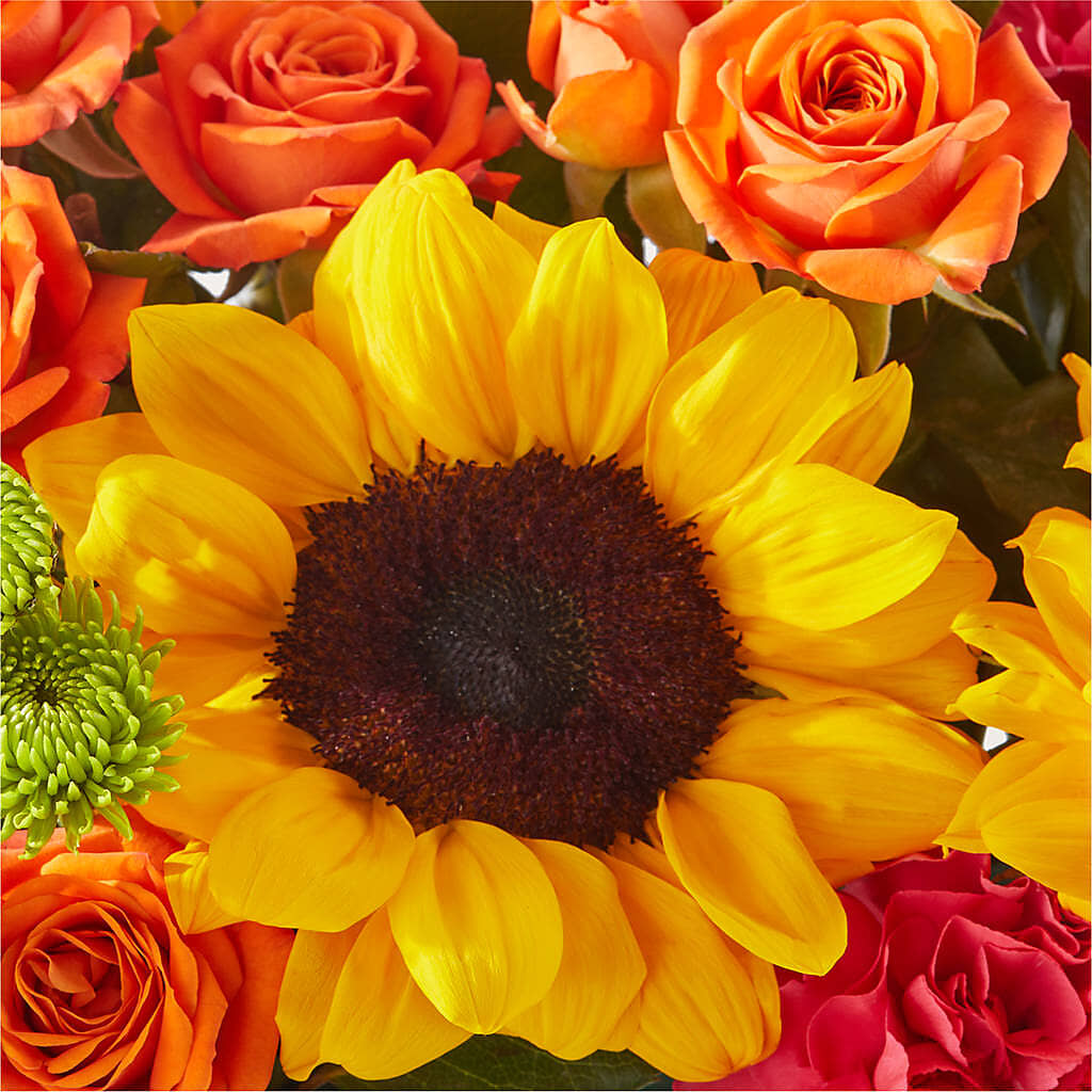 Sun-drenched Blooms Box Bouquet –  Jy Floristeria, Trenton NJ