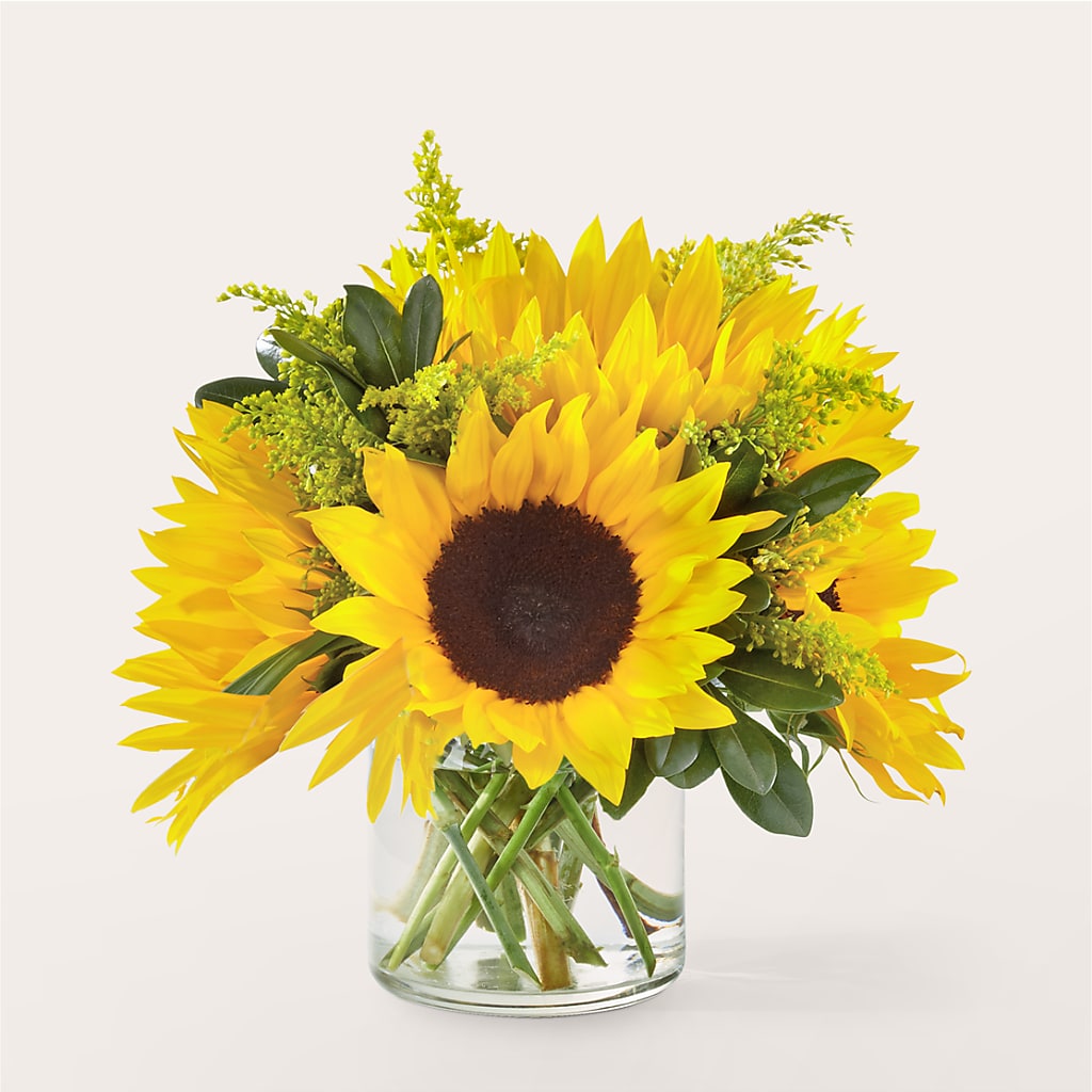 Beaming Sunflower Bouquet –  Jy Floristeria, Trenton NJ