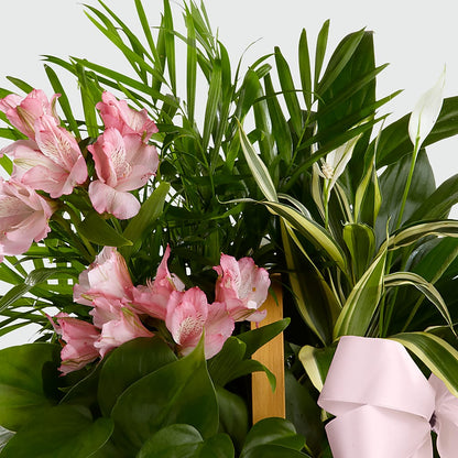 Living Spirit Dishgarden –  Jy Floristeria, Trenton NJ