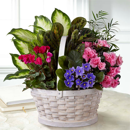 Peaceful Garden Planter –  Jy Floristeria, Trenton NJ
