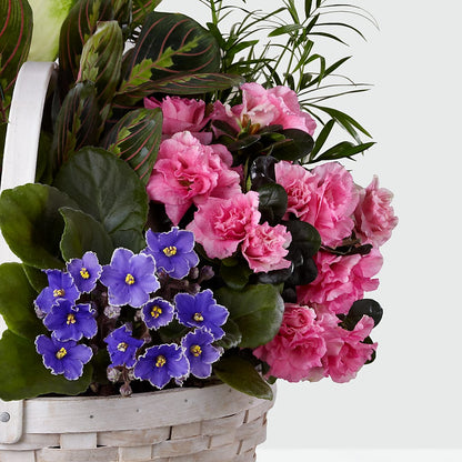 Peaceful Garden Planter –  Jy Floristeria, Trenton NJ