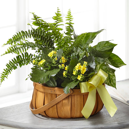Always Dear Dishgarden –  Jy Floristeria, Trenton NJ