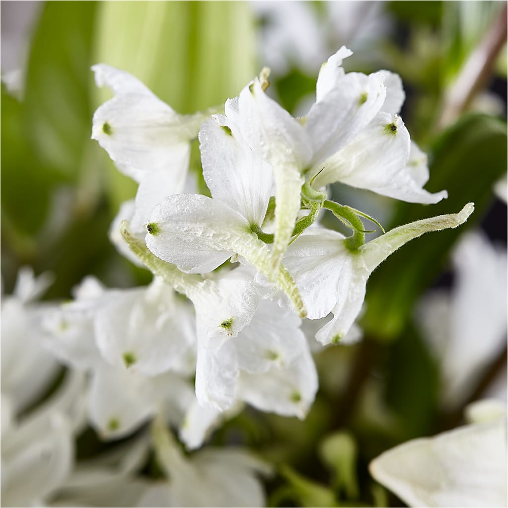 Classic Ivory – A Florist Original –  Jy Floristeria, Trenton NJ