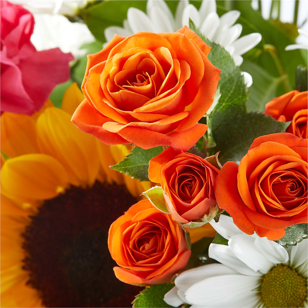 Sun-drenched Blooms Bouquet –  Jy Floristeria, Trenton NJ