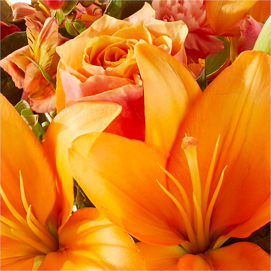 Afternoon Light Bouquet –  Jy Floristeria, Trenton NJ