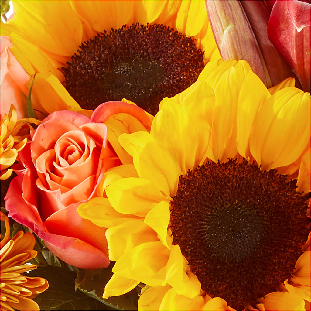 Acorn Lane Bouquet –  Jy Floristeria, Trenton NJ