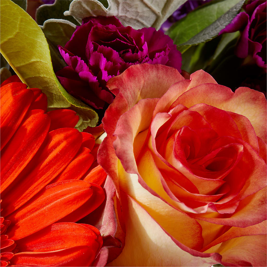 Sangria Bouquet –  Jy Floristeria, Trenton NJ