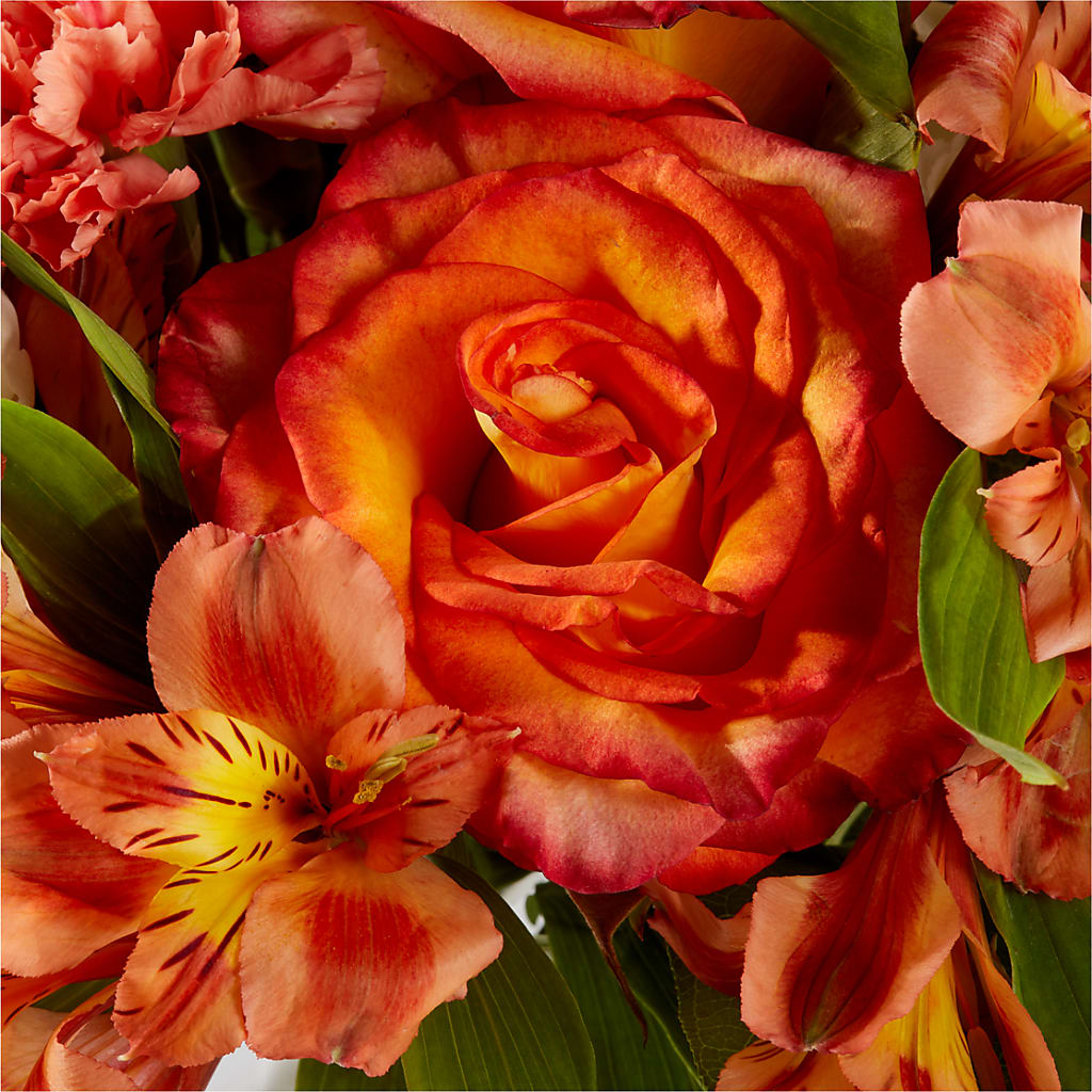 Apricot Glow Bouquet –  Jy Floristeria, Trenton NJ