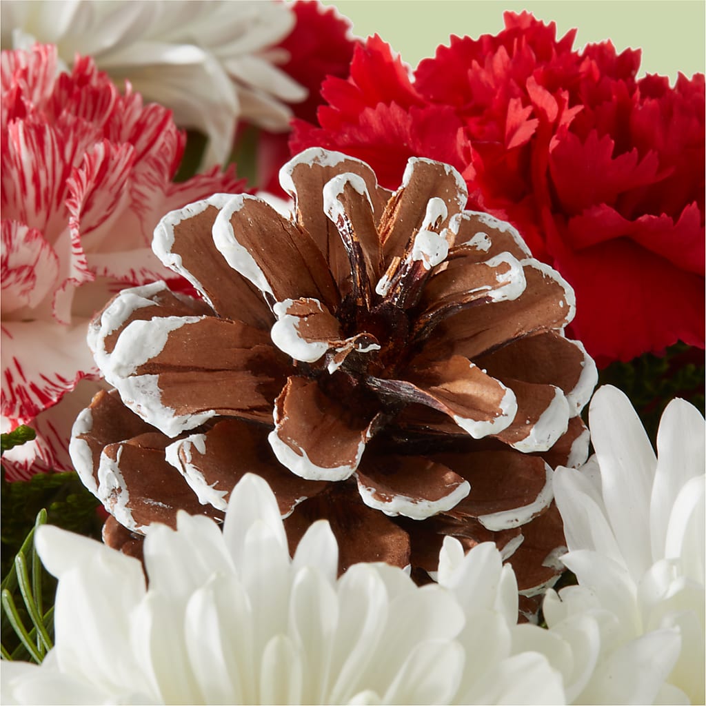 Candy Cane Lane Bouquet –  Jy Floristeria, Trenton NJ