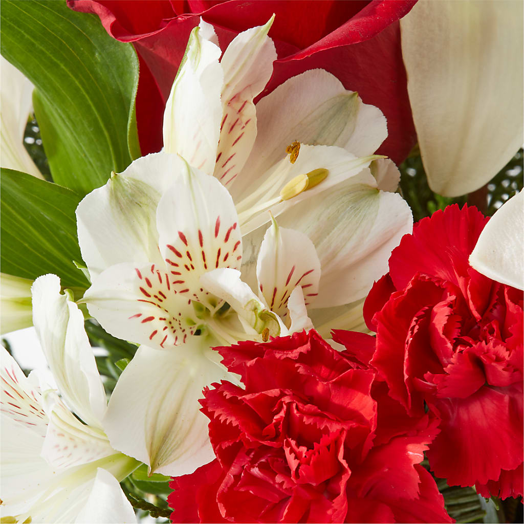 Holiday Season Bouquet –  Jy Floristeria, Trenton NJ