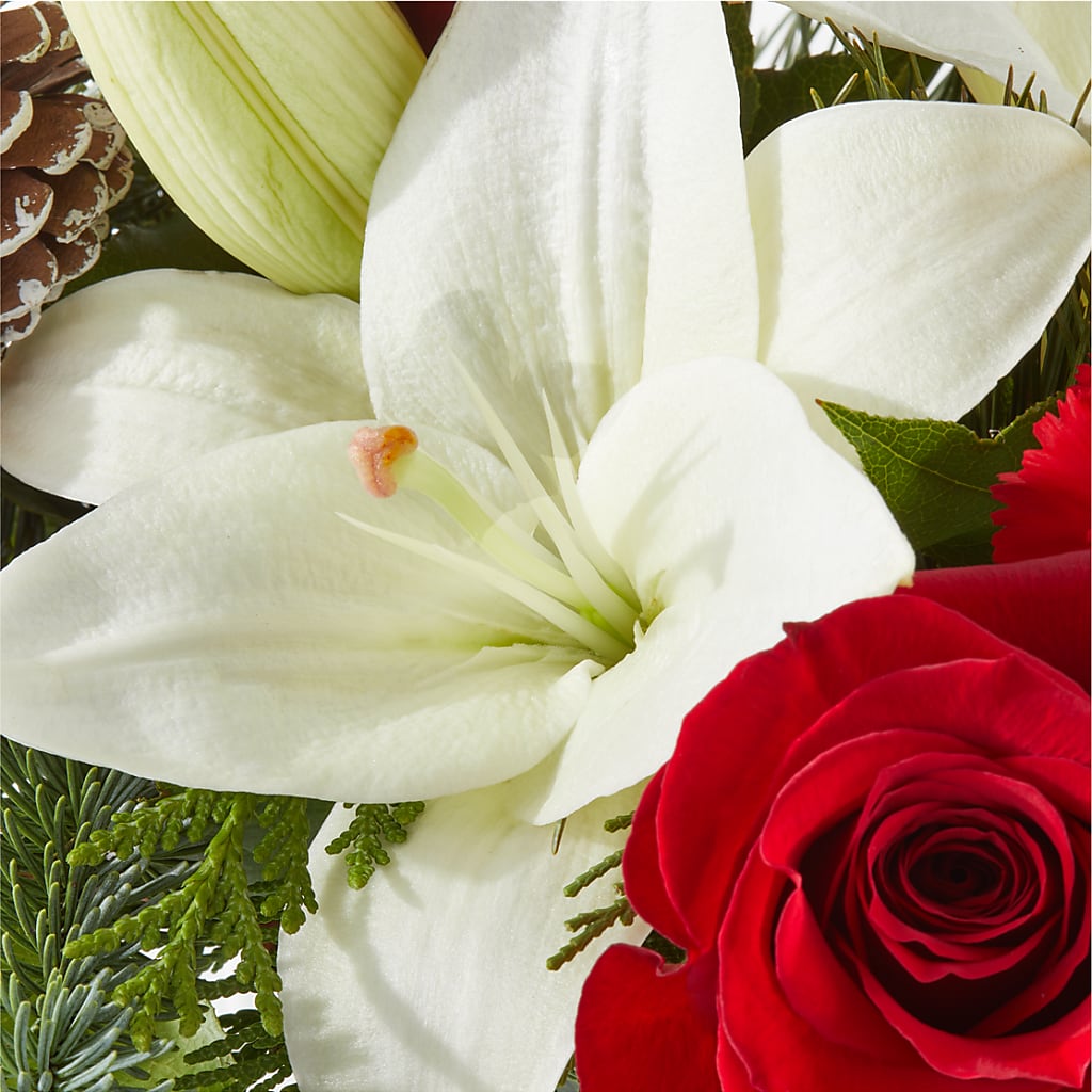 Oh So Jolly Bouquet –  Jy Floristeria, Trenton NJ