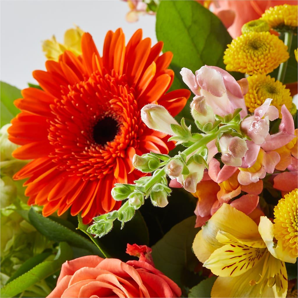 Autumn Sunshine Bouquet –  Jy Floristeria, Trenton NJ