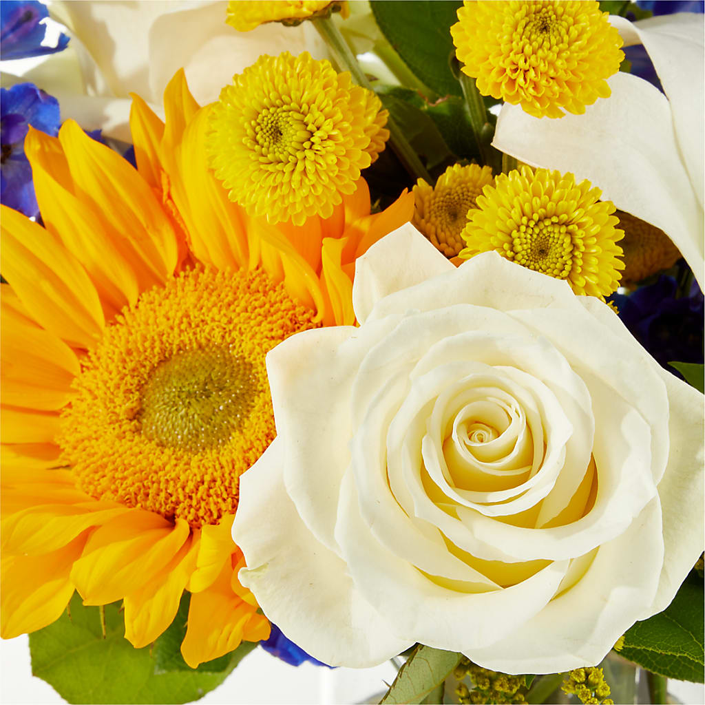 Stargazing Bouquet –  Jy Floristeria, Trenton NJ