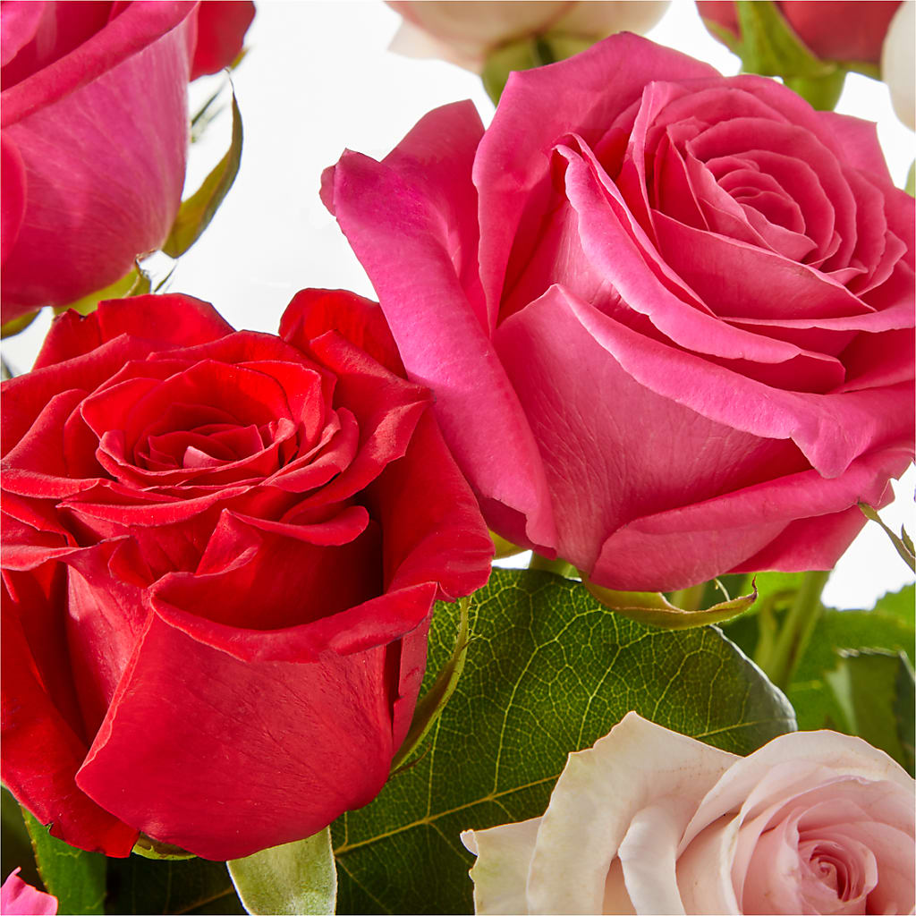 Charming Rose Bouquet –  Jy Floristeria, Trenton NJ