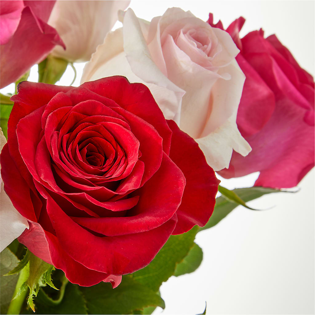 Charming Rose Bouquet –  Jy Floristeria, Trenton NJ
