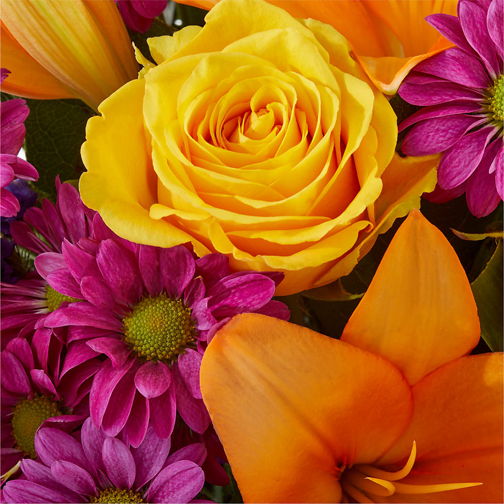 Colorful Visions Bouquet –  Jy Floristeria, Trenton NJ