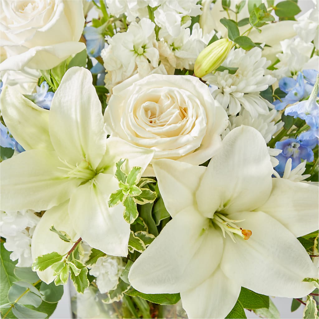 Peace of Mind Bouquet –  Jy Floristeria, Trenton NJ