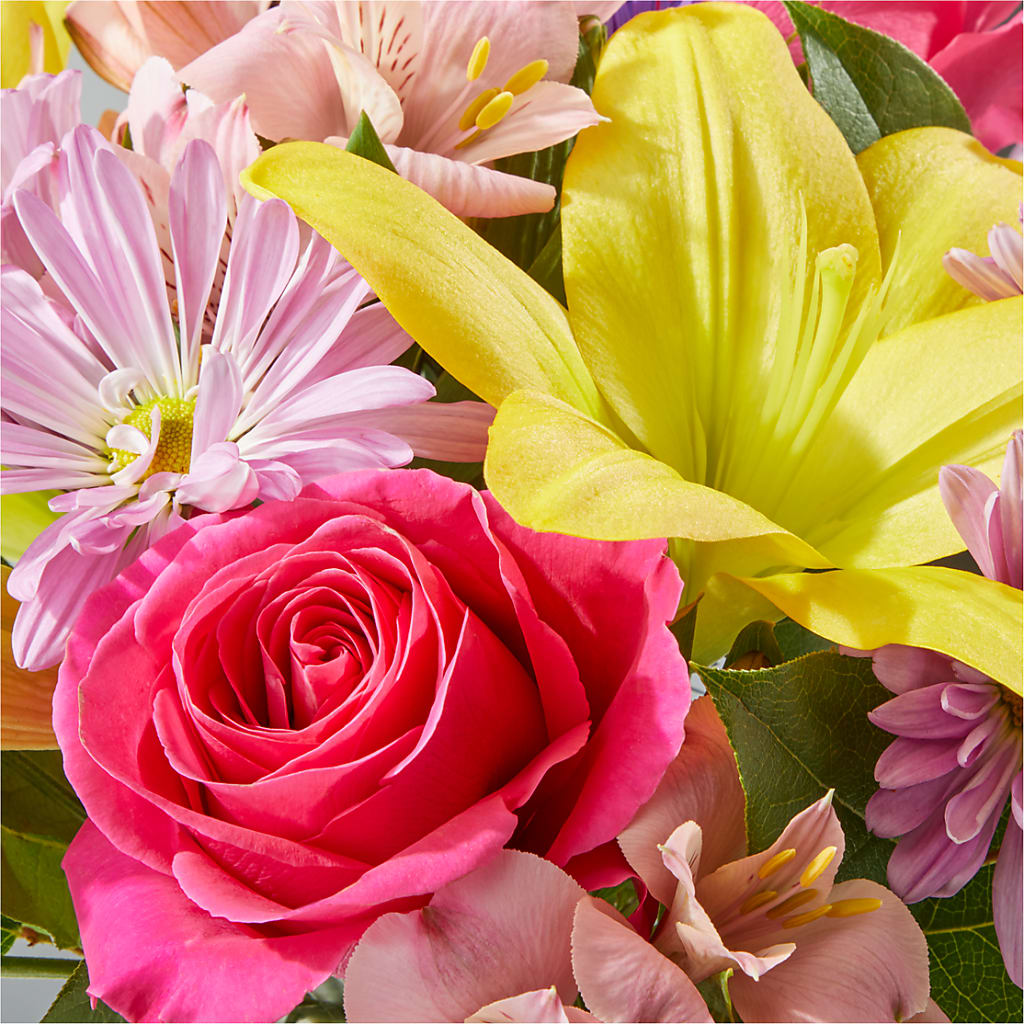 Sprinkles Bouquet –  Jy Floristeria, Trenton NJ