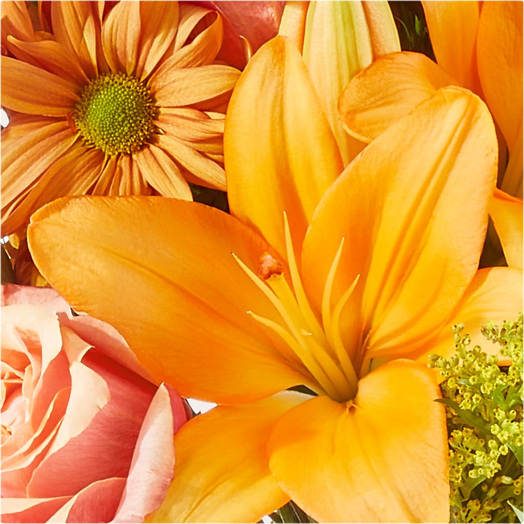 Harvest Hayride Bouquet –  Jy Floristeria, Trenton NJ