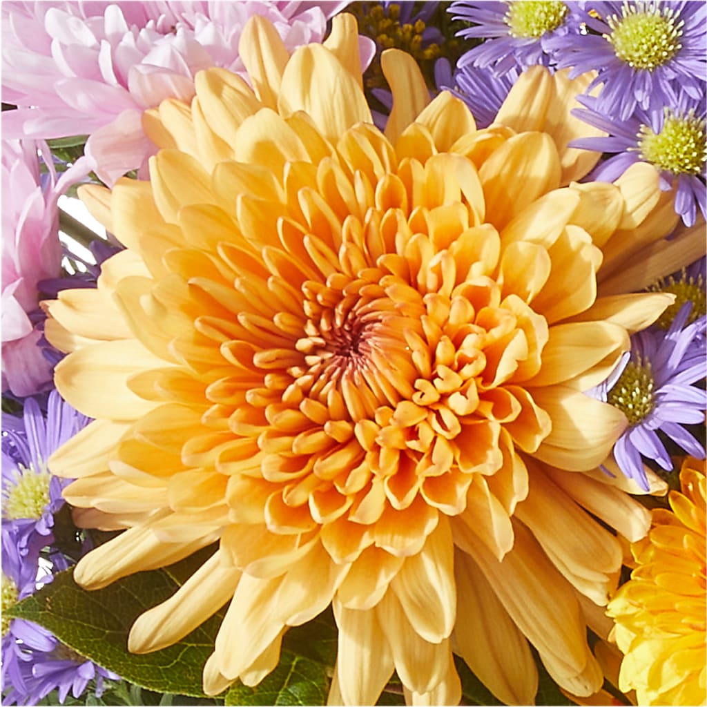 Countryside Bouquet –  Jy Floristeria, Trenton NJ