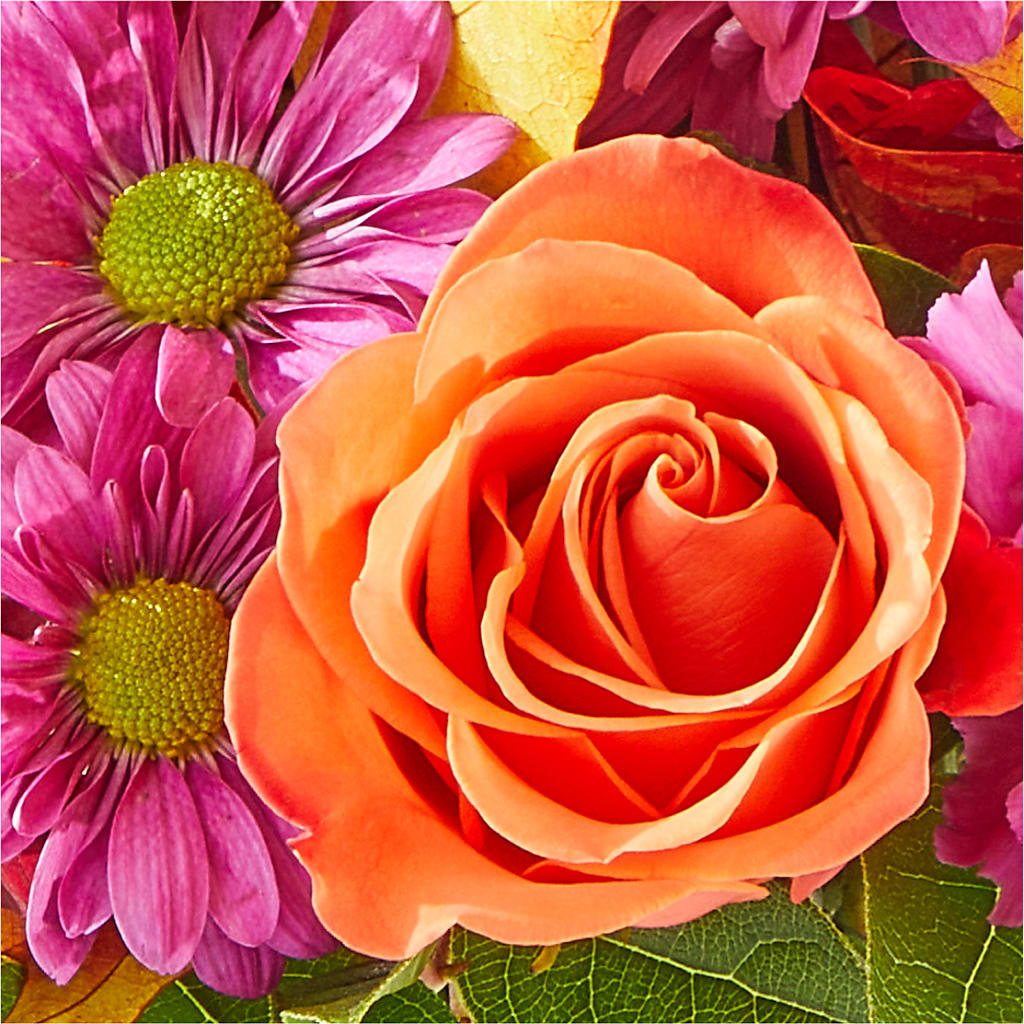 Mum's the Word Bouquet –  Jy Floristeria, Trenton NJ