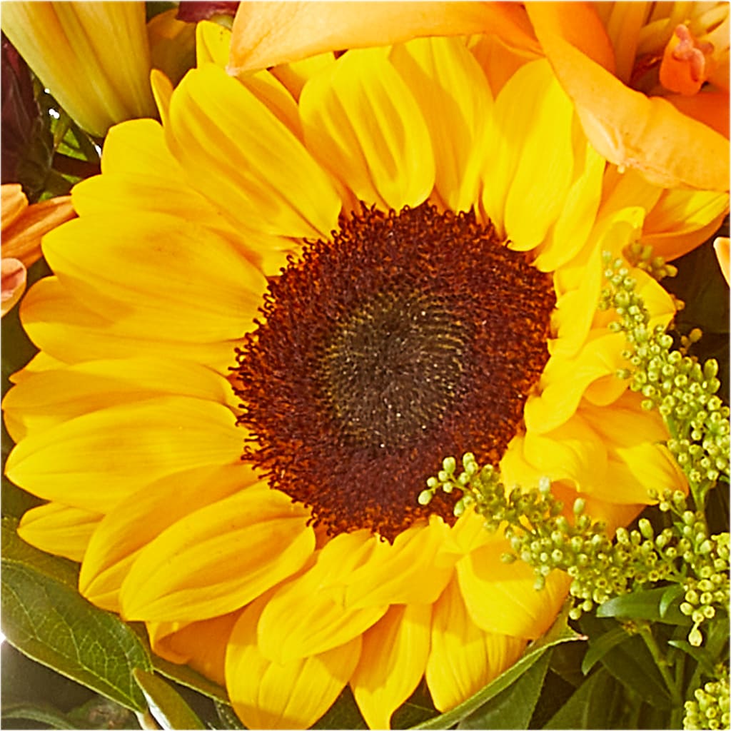 Seasons Change Bouquet –  Jy Floristeria, Trenton NJ