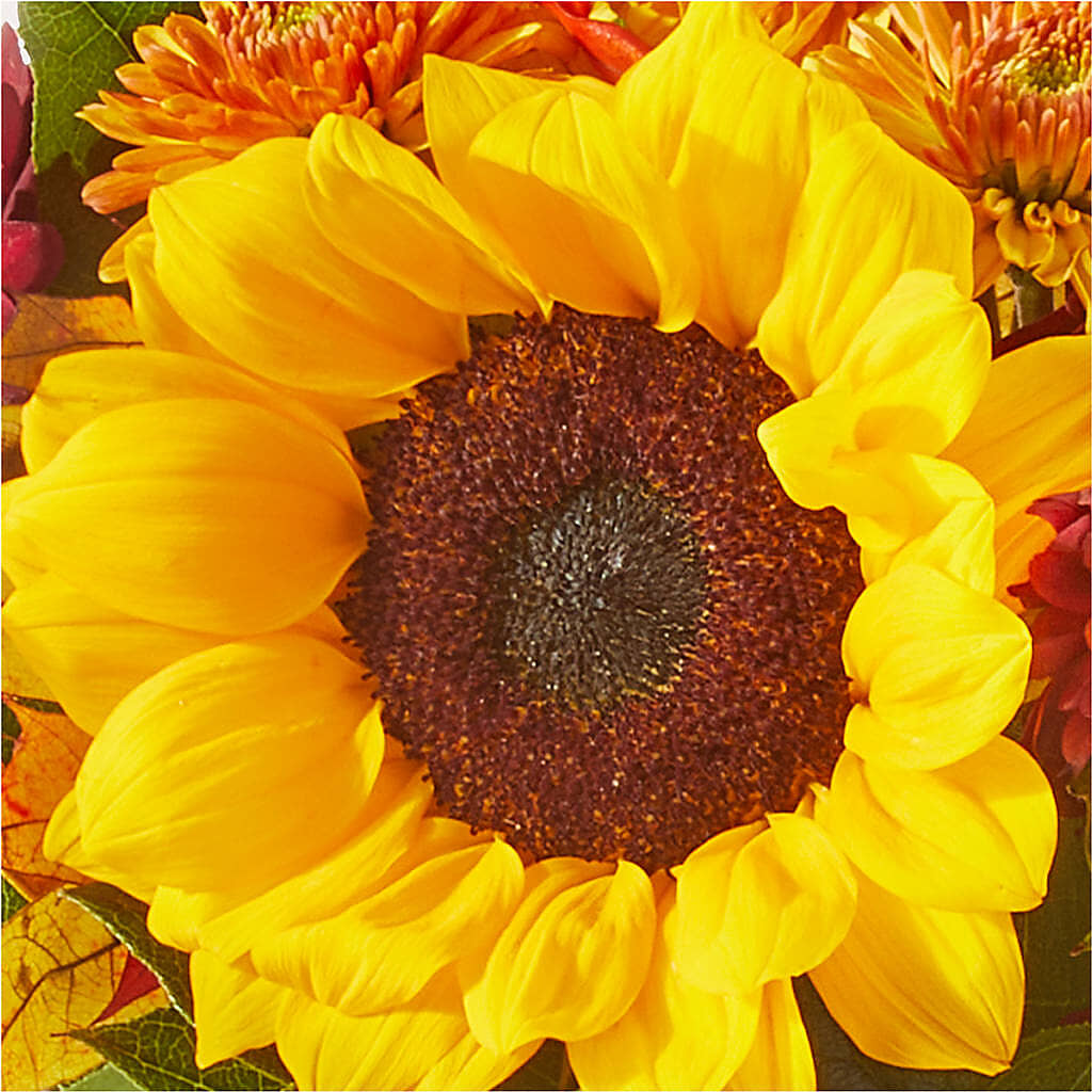 Sunny Side Bouquet –  Jy Floristeria, Trenton NJ
