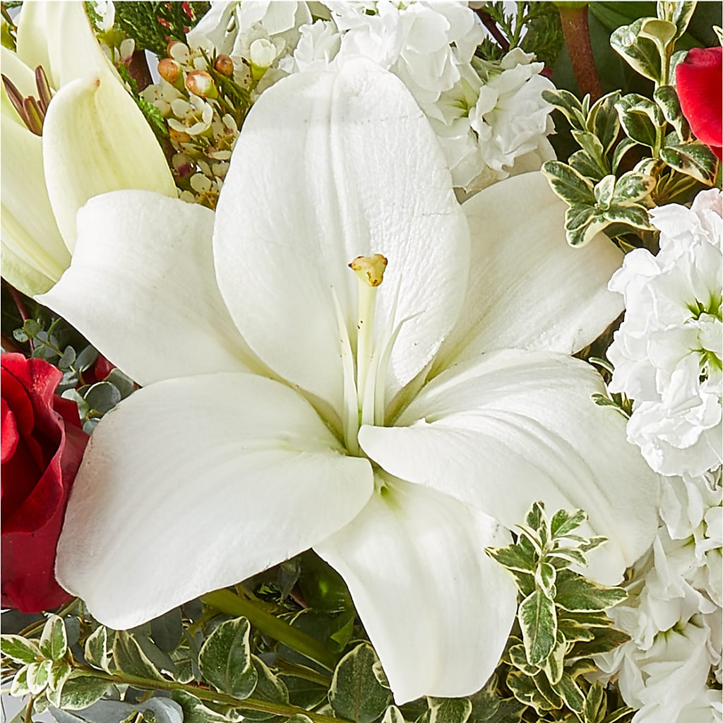 Twinkle Lights Bouquet –  Jy Floristeria, Trenton NJ