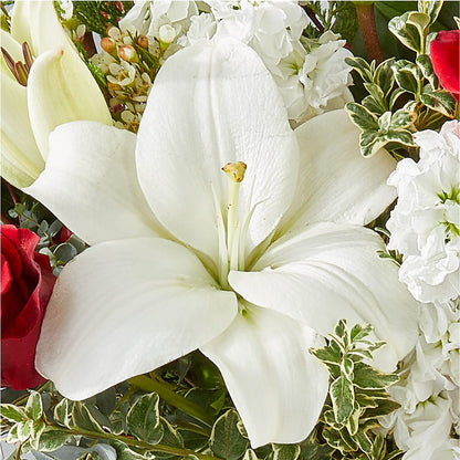 Twinkle Lights Bouquet –  Jy Floristeria, Trenton NJ