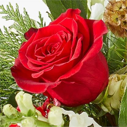 Deck the Halls Bouquet –  Jy Floristeria, Trenton NJ