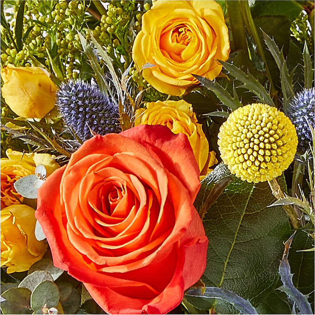Disco Bouquet –  Jy Floristeria, Trenton NJ