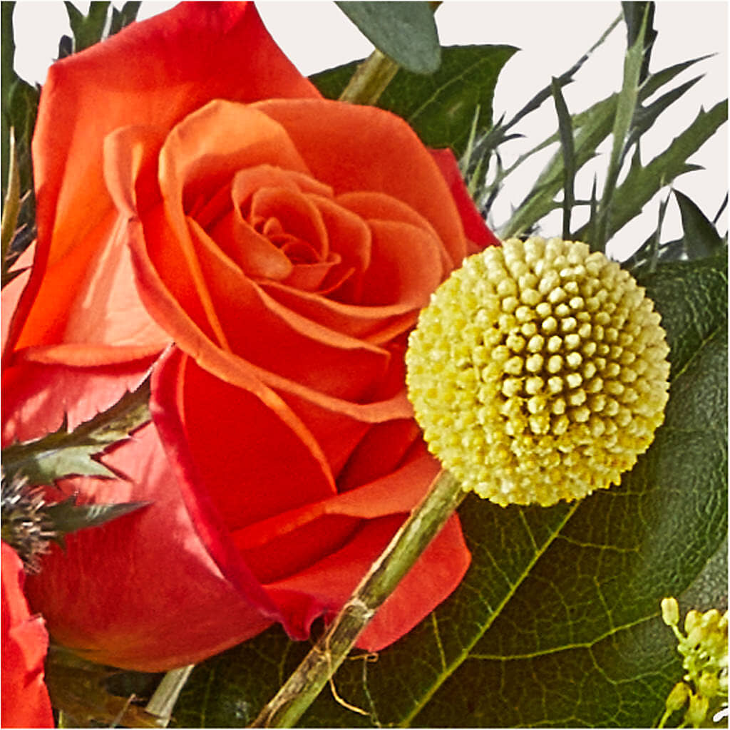 Disco Bouquet –  Jy Floristeria, Trenton NJ