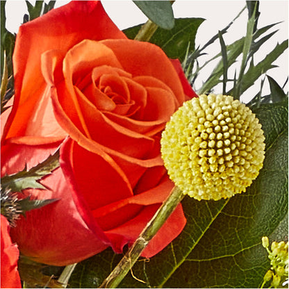 Disco Bouquet –  Jy Floristeria, Trenton NJ
