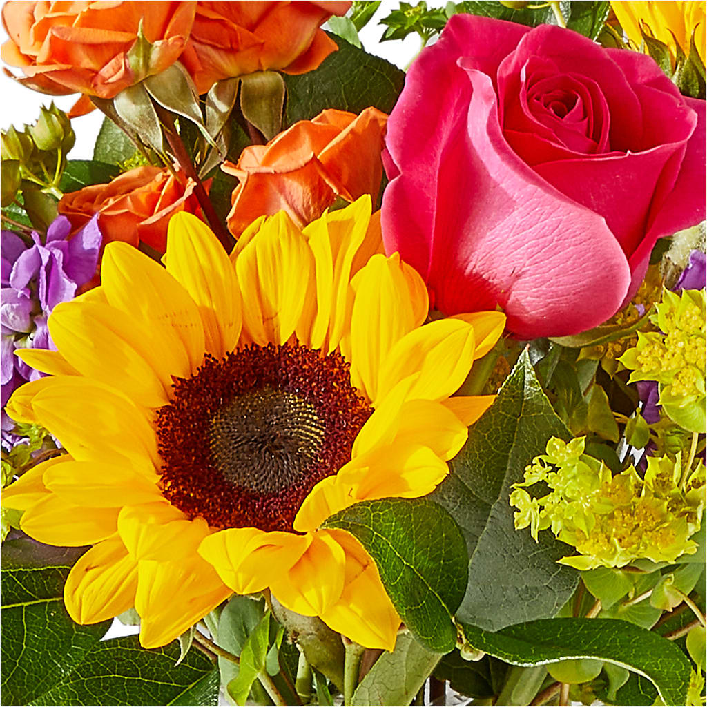 Vibrant Greetings Bouquet –  Jy Floristeria, Trenton NJ