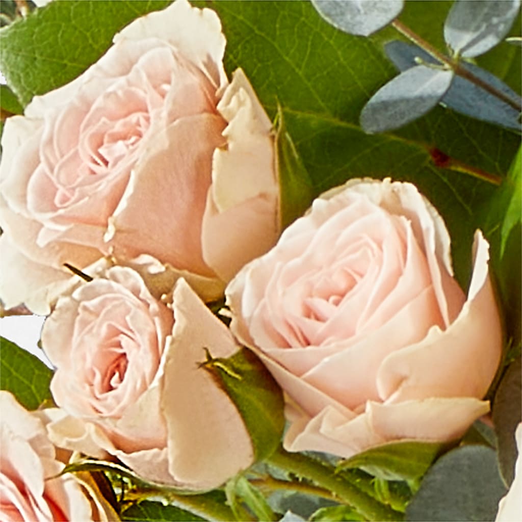 Inspired Bouquet –  Jy Floristeria, Trenton NJ