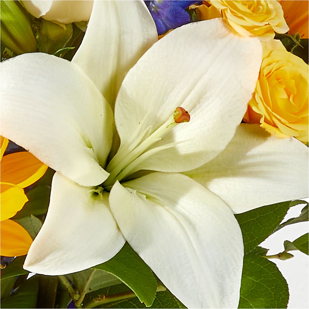 Wonderfully Sunny Bouquet –  Jy Floristeria, Trenton NJ