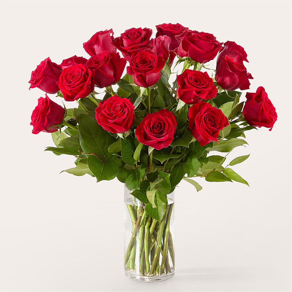 The One Red Rose Bouquet –  Jy Floristeria, Trenton NJ