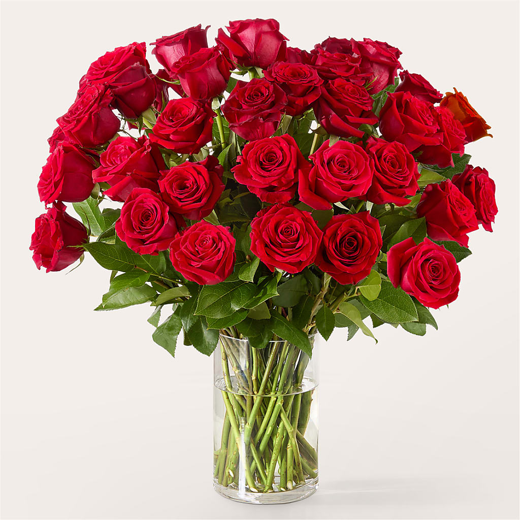 The One Red Rose Bouquet –  Jy Floristeria, Trenton NJ
