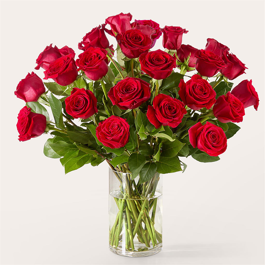 The One Red Rose Bouquet –  Jy Floristeria, Trenton NJ