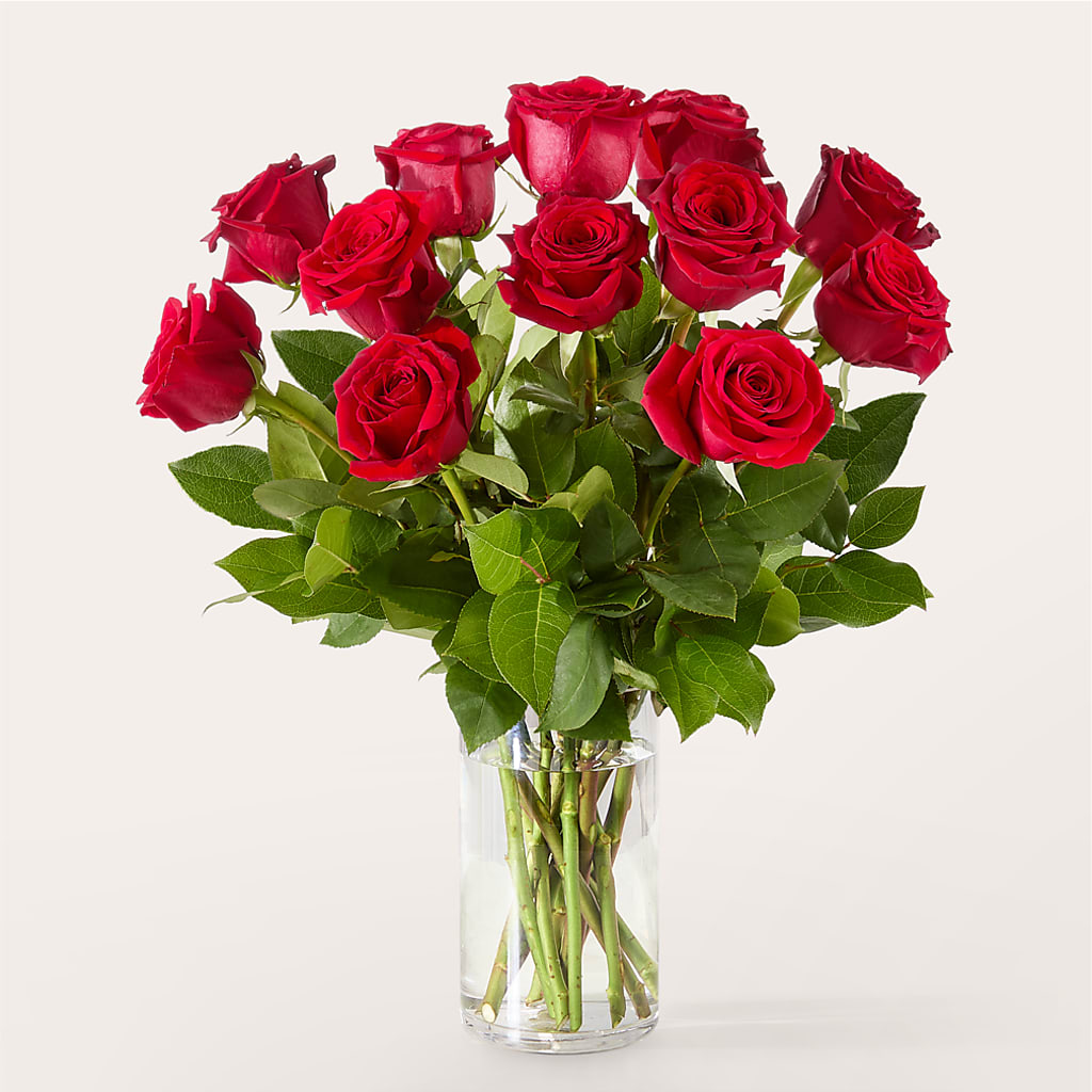 The One Red Rose Bouquet –  Jy Floristeria, Trenton NJ