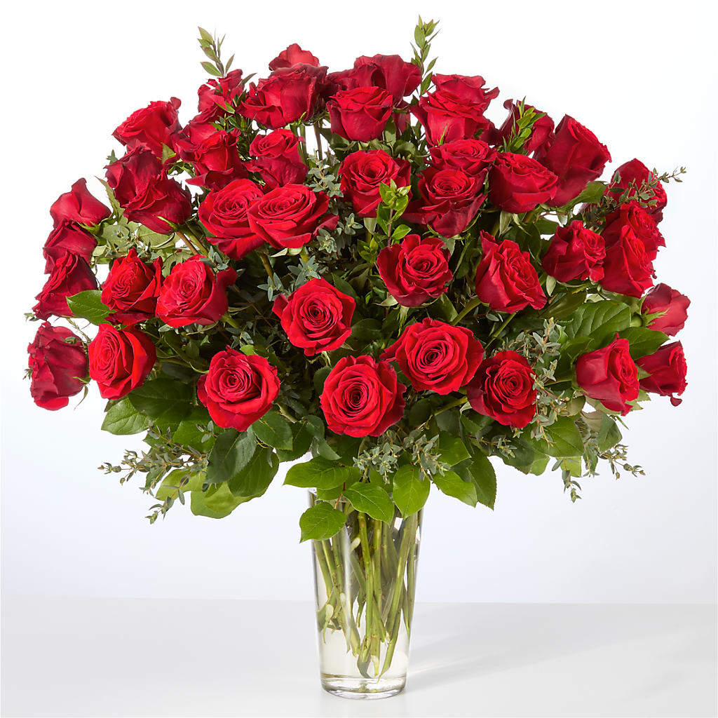 Forever Yours Fifty Stem Red Rose Bouquet –  Jy Floristeria, Trenton NJ